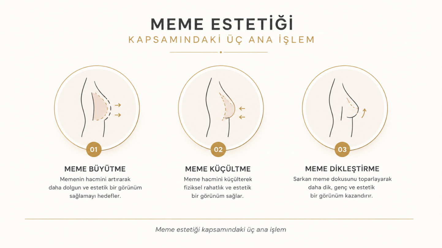 Meme estetiği nedir